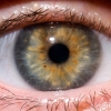 Eye Ebola