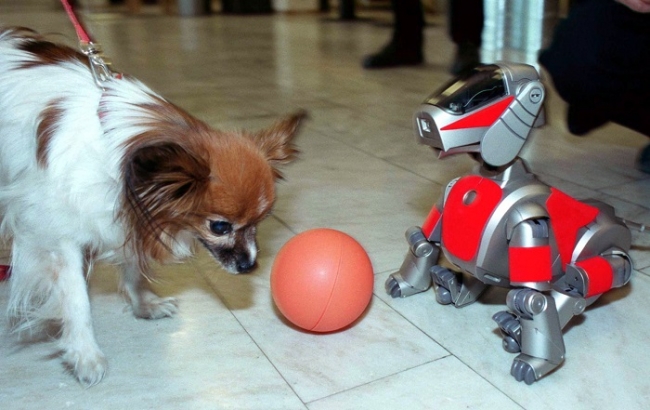 Robotic Dog