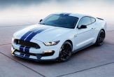 The 2016 Ford Mustang Shelby GT 500