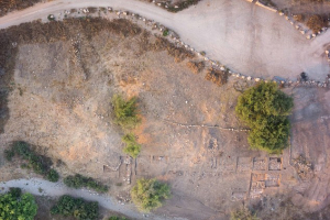 Archaeologists have discovered the remains of what they believe is a large gate at the entrance to the Biblical city of Gath. The aerial photograph above shows the remains of the gate and surrounding fortifications that have been unearthed<br />
 <br/>AP/ Griffin Aerial Imaging