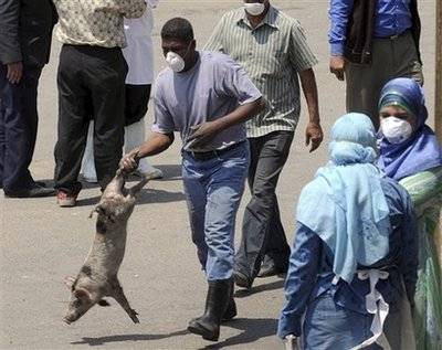 An Egyptian butcher carries a pig in Cairo, Egypt, Thursday, April 30, 2009. Egypt began slaughtering the roughly 300,000 pigs in the country Wednesday as a precaution against swine flu even though no cases have been reported here, infuriating farmers who blocked streets and stoned vehicles of Health Ministry workers who came to carry out the government's order. <br/>(Photo: AP Images / Nasser Nouri)