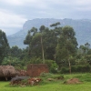 Rural Mbale in eastern Uganda