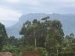 Rural Mbale in eastern Uganda