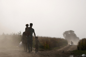Migrants walk on a dirt road as they approach the Croatian border near the town of Sid, Serbia, September 18, 2015. REUTERS/Stoyan Nenov <br/>