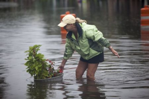 Ginger Richardson grabs a floating plant during an inspection of a office building on Front Street in Georgetown, South Carolina October 4, 2015.  <br/>REUTERS/Randall Hill