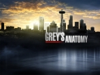 Greys-Anatomy-Logo.jpg