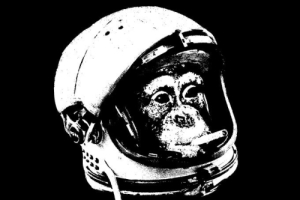  <br/>firstspacemonkey.com