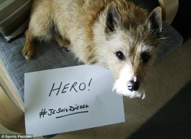 Many shared messages praising Diesel's loyalty while some posted their dogs holding signs #JesuisDielsel.  <br/>