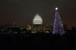 Capitol Building and Christmas Tree