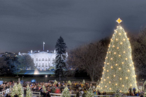The 2008 Christmas Tree Lighting. <br/>National Christmas Tree Lighting Website
