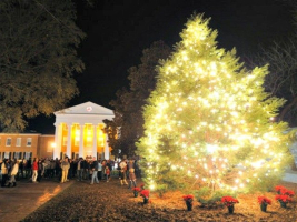 A Christmas tree at the University of Mississippi  <br/>AP photo