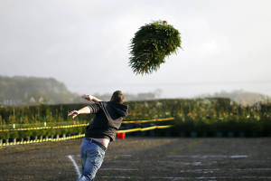 Instead of tossing your Christmas trees to a landfill, you can recycle them to create habitats for fish and other aquatic life in local ponds and lakes, as well as helping to slow erosion. DARREN STAPLES / Reuters <br/>