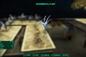 This plant could tie both Skyrim and Fallout together.  <br/>Bethesda Studios