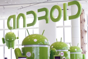 Android mascots are lined up in the demonstration area at the Google I/O Developers Conference in the Moscone Center in San Francisco, California, May 10, 2011. REUTERS/Beck Diefenbach <br/>