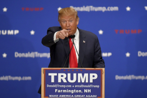 U.S. Republican presidential candidate Donald Trump addresses the crowd at a campaign rally in Farmington, New Hampshire January 25, 2016.  <br/>REUTERS/Gretchen Ertl