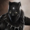 Chadwick Boseman  plays Black Panther.