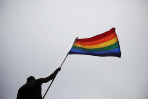 A man holds a flag as he takes part in an annual Gay Pride Parade in Toronto June 28, 2009.  <br/>REUTERS/Mark Blinch