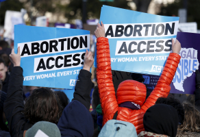 Protesters demonstrate in front of the U.S. Supreme Court in the morning as the court takes up a major abortion case focusing on whether a Texas law that imposes strict regulations on abortion doctors and clinic buildings interferes with the constitutional right of a woman to end her pregnancy, in Washington March 2, 2016.  <br/>REUTERS/Kevin Lamarque