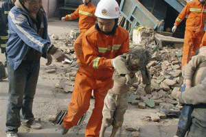 Rescue workers pull out children from a collapsed building in Yushu county in western China's Qinghai province on Wednesday, April 14, 2010. A series of strong earthquakes struck a far western Tibetan area of China on Wednesday, killing at least 400 people and injuring more than 10,000 as houses made of mud and wood collapsed, trapping many more, officials said. <br/>