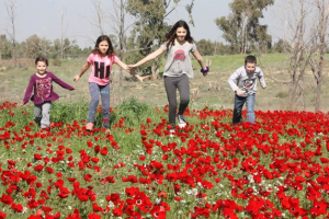 The annual Darom Adom Festival, or Red South Anemone Festival, gives visitors to Israel's parched Negev Desert an extraordinary time to honor the country's national flower in rare full bloom. This period between January and March encourages getting closer to nature, history, faith and religion.  <br/>TimeOut, courtesy of PR