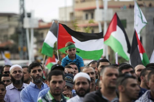 Israeli-Arabs hold Palestinian flags during a demonstration in the northern Israeli town of Sakhnin October 13, 2015. REUTERS/Baz Ratner   <br/>