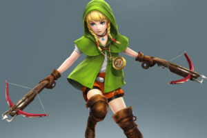 A Female Link coming to the new ''The Legend of Zelda'' Game? Nintendo <br/>Nintendo