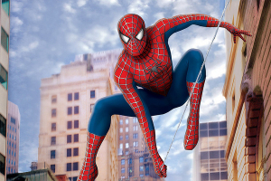 Promotional image for Spider-Man <br/>Flickr/Barbara Williams2010