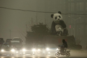 A resident rides an electric bicycle across a street amid heavy smog as vehicles wait for a traffic light next to a statue of pandas, a landmark of the Wangjing area in Beijing, China, December 1, 2015. REUTERS/China Daily <br/>