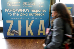 Material to prevent Zika infection by mosquitoes are displayed at the 69th World Health Assembly at the United Nations European headquarters in Geneva, Switzerland, May 23, 2016. <br/> REUTERS/Denis Balibouse