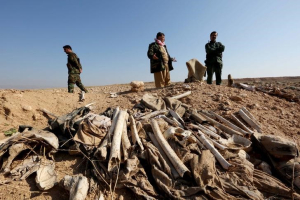 Bones, suspected to belong to members of Iraq's Yazidi community, are seen in a mass grave on the outskirts of the town of Sinjar, November 30, 2015.  <br/>REUTERS/Ari Jalal/Files