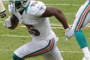 Davone Bess with the Miami Dolphins <br/>Wikimedia Commons/June Rivera