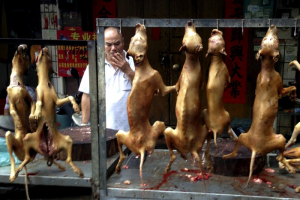 A vendor smokes behind a display of dog meat at a dog meat market on the day of a local dog meat festival in Yulin, Guangxi Autonomous Region, June 22, 2015.  <br/>REUTERS/Kim Kyung-Hoon/File photo