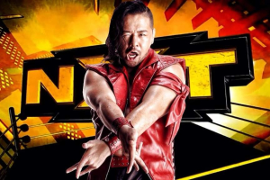 Shinsuke Nakamura of NXT <br/>WWE