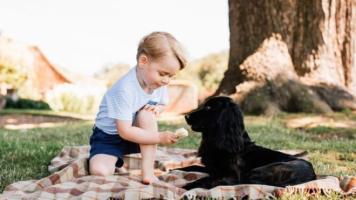 Prince George feeds the family dog, Lupo. <br/>Twitter
