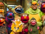 Sesame Street lays off human cast members, what is in store for Season 47?