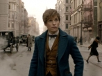 "Fantastic Beasts and Where to Find Them" coming November 18, 2016.  