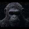 War for the Planet of the Apes trailer