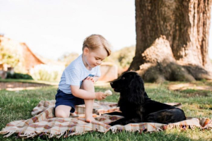 Britain's Prince George is seen with the family pet dog, Lupo, in this photograph taken in mid-July at his home in Norfolk and released by Kensington Palace to mark his third birthday, in London, Britain July 22, 2016. Matt Porteous/Duke and Duchess of Cambridge/Handout via REUTERS <br/>Photo: Matt Porteous/Duke and Duchess of Cambridge/Handout via REUTERS