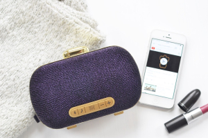 A clutch that doubles up as a speaker.  <br/>The Gadget Flow. 