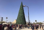 Christmas Tree in Baghdad