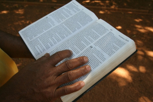 Bible <br/>Wikimedia Commons