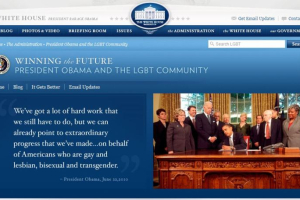 Within the first hour of U.S. President Donald Trump being sworn in on Jan. 20, 2017, certain public web pages were eliminated -- most notably prior pages, such as the one shown here, for gay rights, civil rights, health care and climate change. <br/>Think Progress