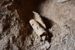 12th Dead Sea Scrolls