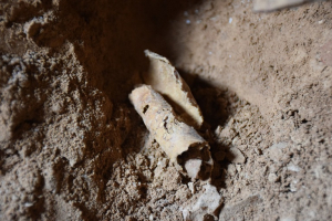 A new cave found near Jersulaem was proclaimed to be the 12th one containing the famour Dead Sea Scrolls. The only scroll found in the Qumran cave, however, was blank, though archaeologists believe that in ancient times it was being prepared for writing.  <br/>Oren Gutfeld & Ahiad Ovadia