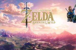 Expect two DLCs to be available for this Nintendo Switch launch title, one for the summer and another for the holiday season in the form of a $19.99 Expansion Pack. <br/>Nintendo