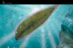The ark viewed from under the water looks like a giant leaf. <br/>Kendu Films 