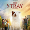 The Stray Movie