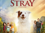 The Stray Movie