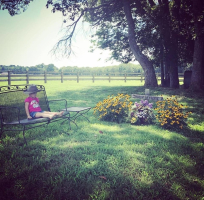 Indiana Feek sits beside her mother's grave <br/>Facebook