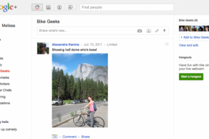A screen shot of the Google Plus social network is shown in this publicity photo released to Reuters June 28, 2011. <br/>Reuters / Google / Handout